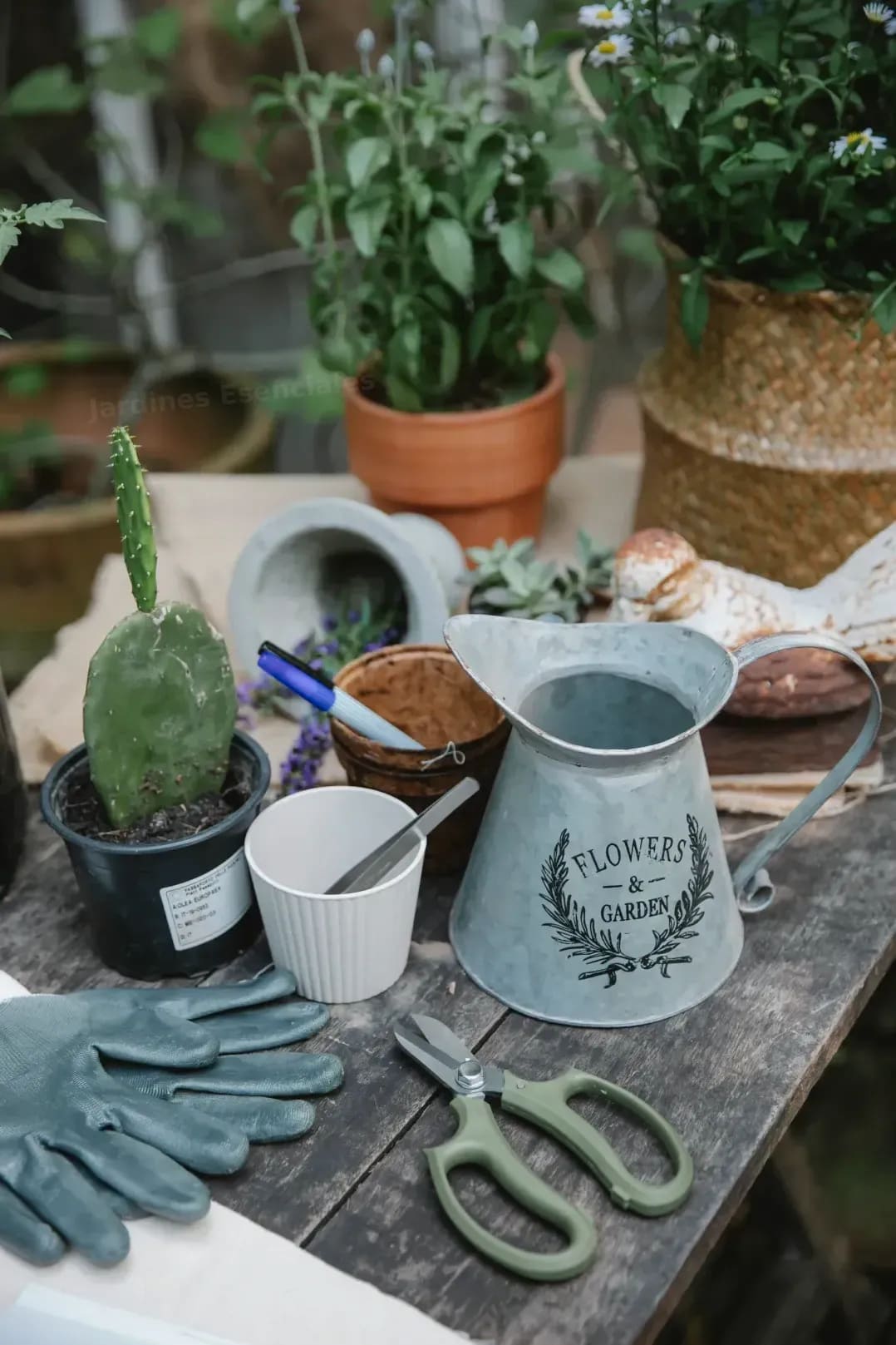 Jardines Esenciales