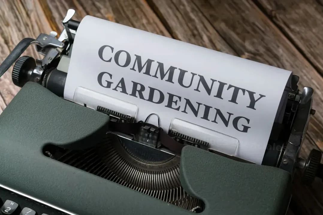 Diseño de jardines pequeños: cómo aprovechar cada rincón con estilo