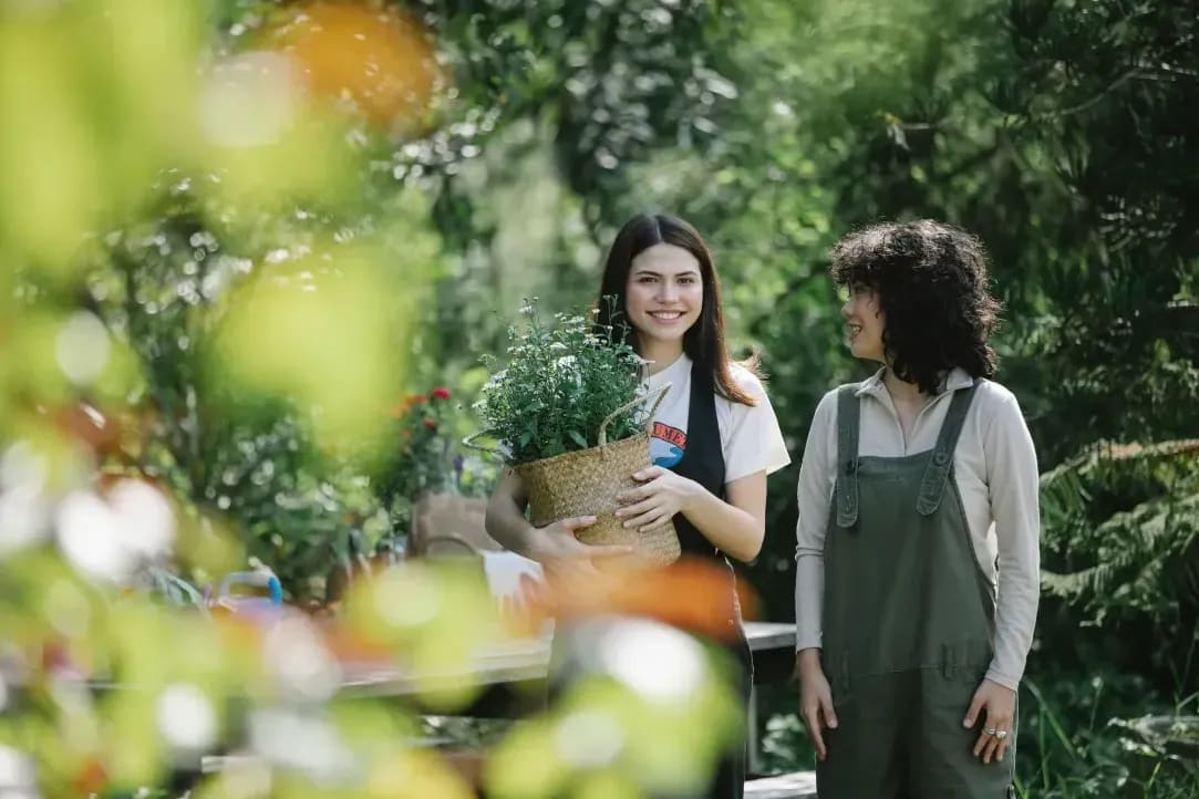 Jardines Esenciales 1